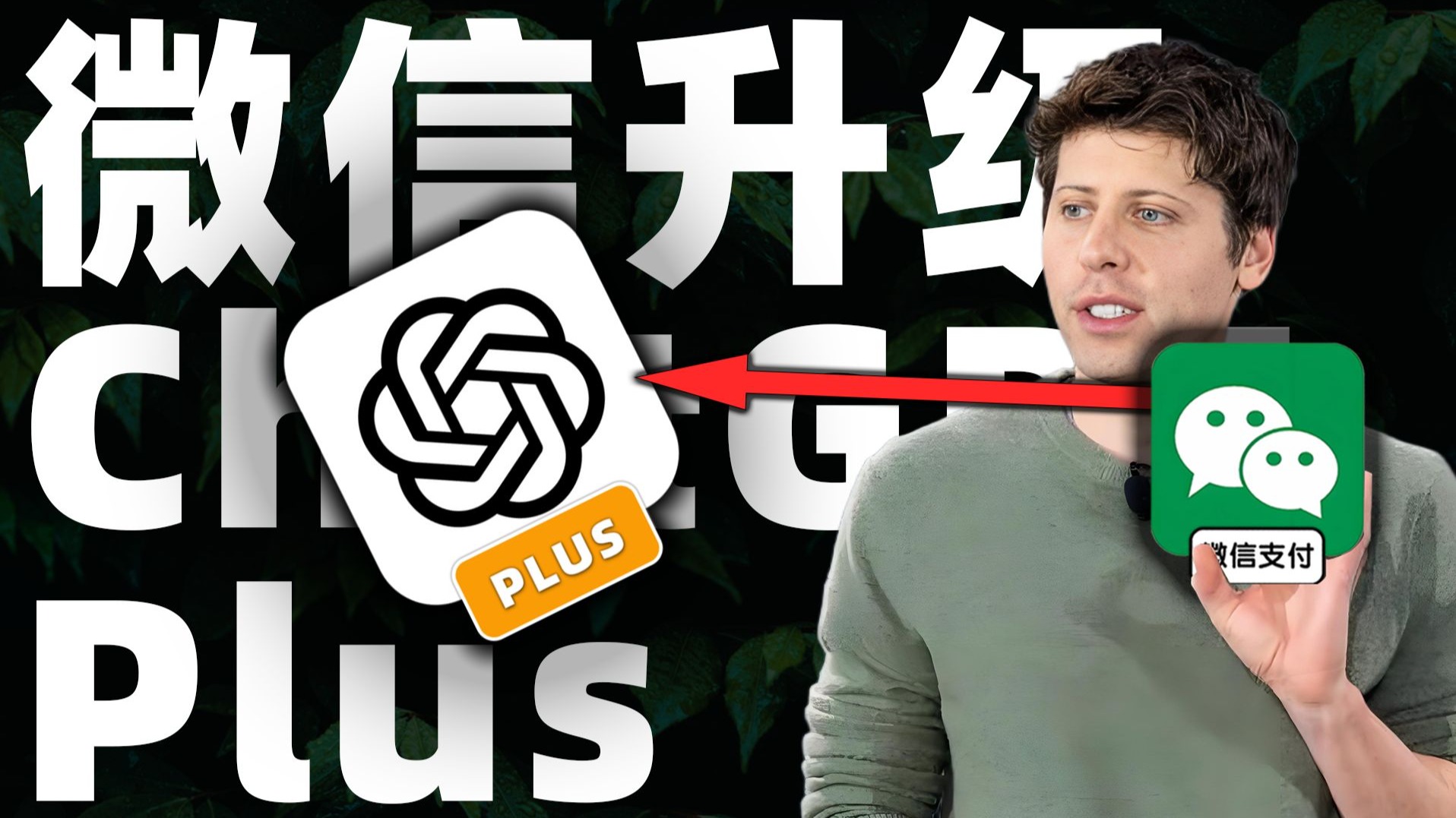 GPT Plus充值教程配图