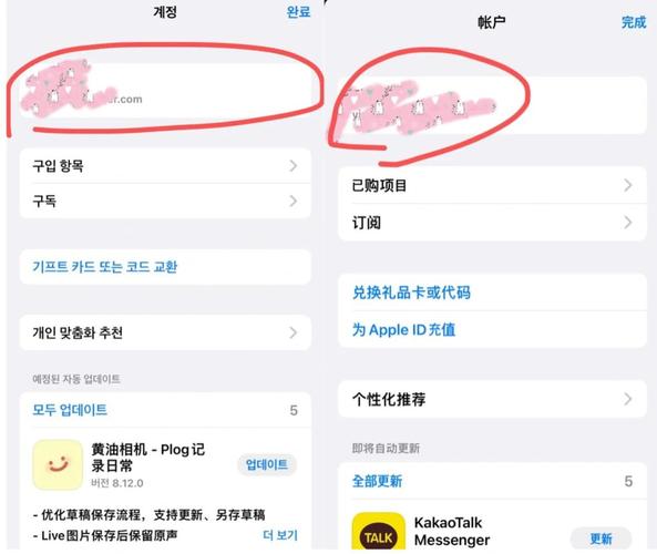 国内 iOS 怎么下载国外飞机聊天软件？2025 完整版教程亲测有效！