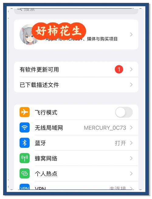 国内 iOS 怎么下载国外飞机聊天软件？2025 完整版教程亲测有效！